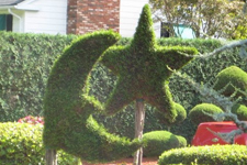 Concordia Topiary