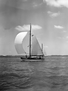 Concordia #2 Malay I