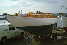 Concordia #3 Halcyon