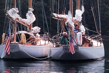 Concordia #3 Halcyon