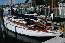 Concordia #8 Papajecco