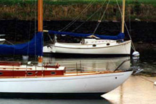 Concordia #10 Praxilla