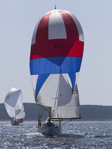 Concordia #11 Winnie of Bourne