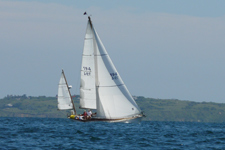 Concordia #11 Winnie of Bourne