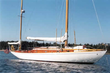 Concordia #13 Phalarope