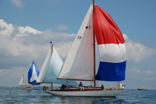 Concordia #13 Phalarope