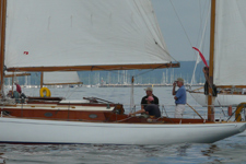 Concordia #13 Phalarope