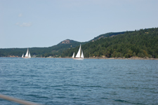 Pacific NW rendezvous July 2008 Concordia #15 Lotus