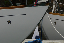 Lotus and Irene Concordia #15 Lotus