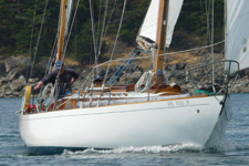 Lotus Concordia #15 Lotus