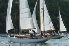 Lotus Concordia #15 Lotus