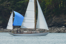 Lotus Concordia #15 Lotus