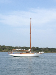 Actaea Concordia #17 Actaea