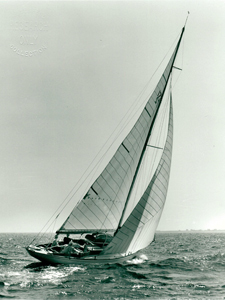 Actaea Concordia #17 Actaea