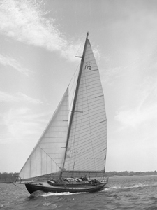 Actaea Concordia #17 Actaea