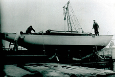 Concordia #17 Actaea