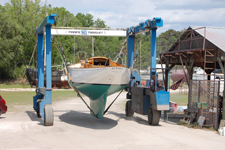 March 2011 haulout Concordia #17 Actaea