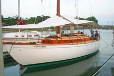 Actaea Concordia #17 Actaea