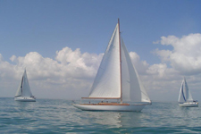 Actaea Concordia #17 Actaea