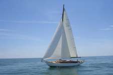 Actaea Concordia #17 Actaea