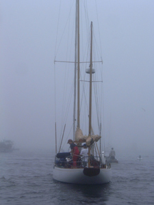 Fog bound Otter Concordia #19 Otter