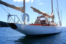 Otters stern area Concordia #19 Otter