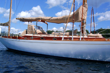 5 port cabin trunk Concordia #19 Otter