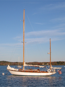 Concordia #21 Streamer