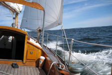 Concordia #21 Streamer