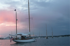 70th Reunion Concordia #22 Hero