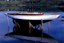 Concordia #23 Starlight