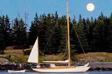 Concordia #23 Starlight