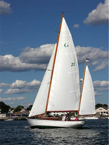 Concordia #25 Wild Swan