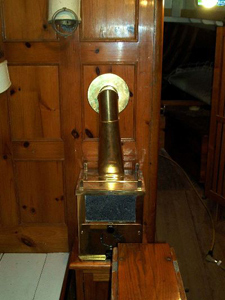 Concordia #25 Wild Swan