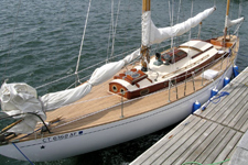 Concordia #25 Wild Swan