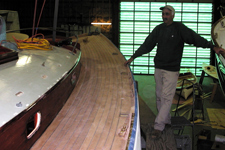 Concordia #25 Wild Swan