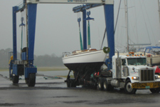 Sarah Concordia #27 Sarah