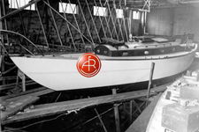 A&R 5024 Concordia #28 Safari