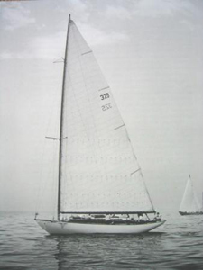 Concordia #30 Harrier