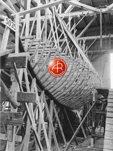 Concordia #30 Harrier