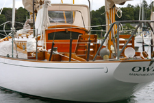 Owl Concordia #31 Owl