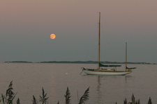 Mandala Concordia #34 Mandala