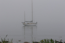 Mandala Concordia #34 Mandala