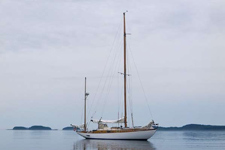 Mandala Concordia #34 Mandala