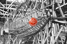 A&R 5101 Concordia #40 Skye