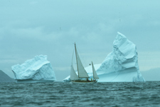 Lacerta Concordia #44 Lacerta