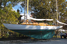 Lacerta Concordia #44 Lacerta