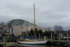 Lacerta Concordia #44 Lacerta