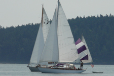 Kodama Concordia #46 Kodama