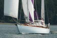 Kodama Concordia #46 Kodama